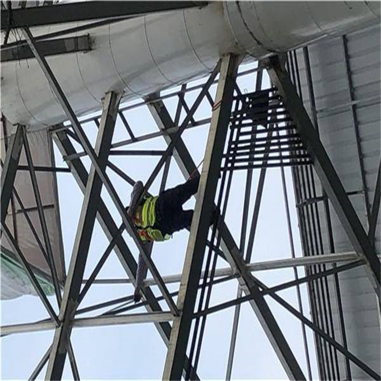 1652096729237122.jpg 8e192501dbcc4657a4d29b89ecaecb3e.jpg