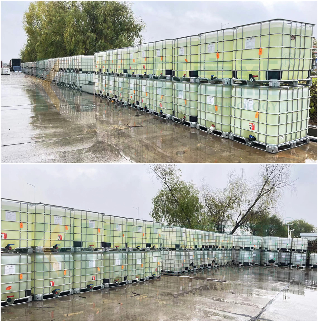 1703036862635365.jpg 1 (1).jpg