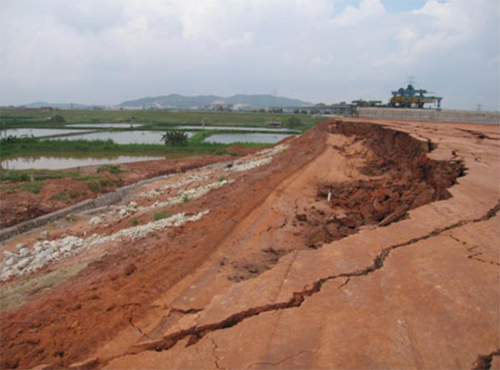 1762323652553274.png 6410.png